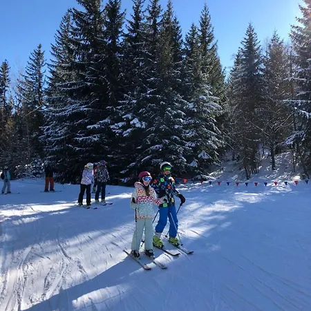 La Siesta Triventi Mountain * Карпач